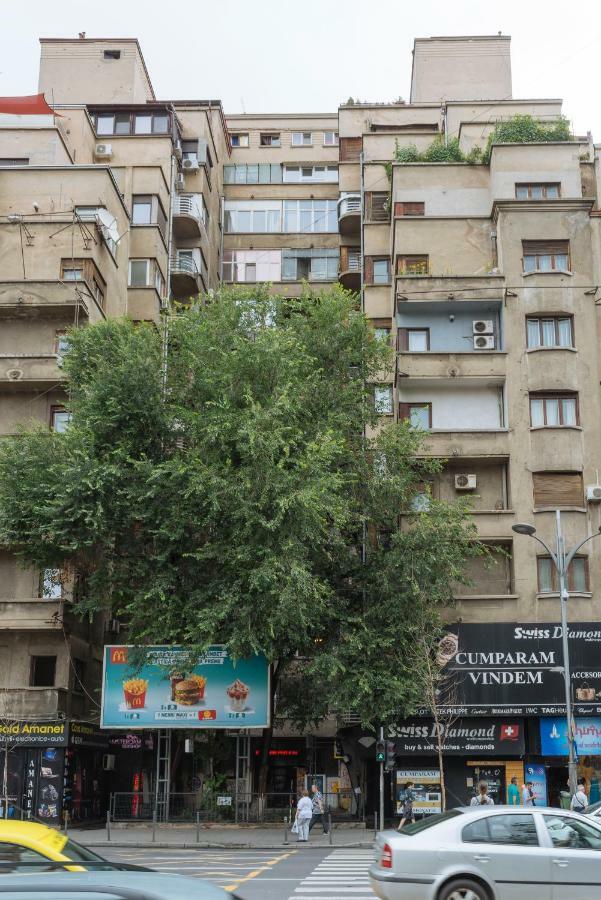 Petite Maison Sur Le Boulevard بوخارست المظهر الخارجي الصورة